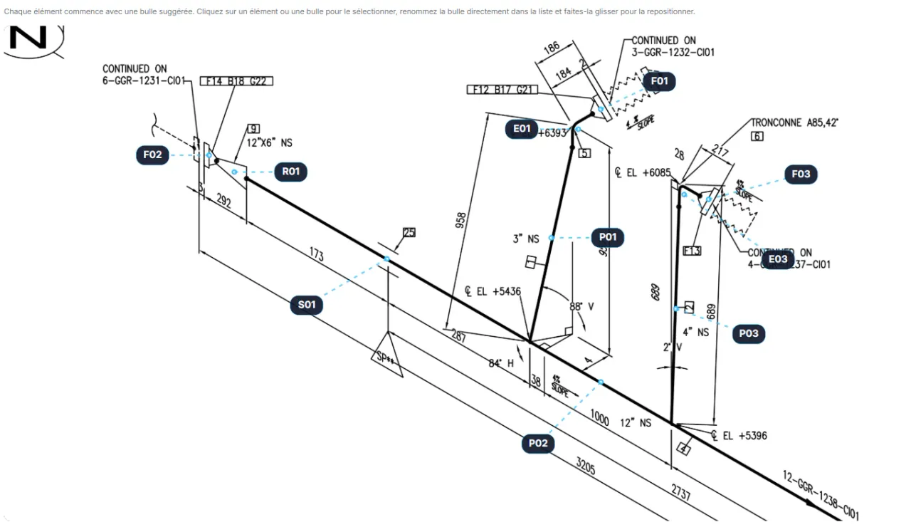 Detailed elements to inspect along the piping line